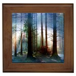 Old_forest Framed Tile