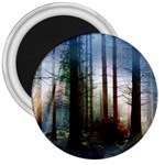 Old_forest 3  Magnet