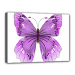Purple Awareness Butterfly Canvas 16  x 12  (Framed)