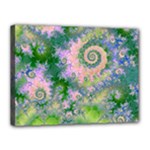 Rose Apple Green Dreams, Abstract Water Garden Canvas 16  x 12  (Framed)