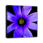 Purple Bloom Mini Canvas 6  x 6  (Framed)