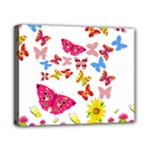 Butterfly Beauty Canvas 10  x 8  (Framed)
