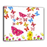 Butterfly Beauty Canvas 20  x 16  (Framed)