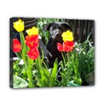 Black GSD Pup Canvas 10  x 8  (Framed)