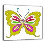 Color Butterfly  Canvas 24  x 20  (Framed)
