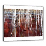 Swamp2 Filtered Canvas 24  x 20  (Framed)