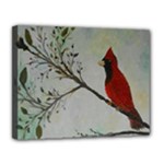 Sweet Red Cardinal Canvas 14  x 11  (Framed)