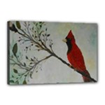 Sweet Red Cardinal Canvas 18  x 12  (Framed)