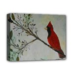 Sweet Red Cardinal Deluxe Canvas 14  x 11  (Framed)