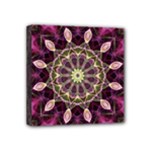 Purple Flower Mini Canvas 4  x 4  (Framed)