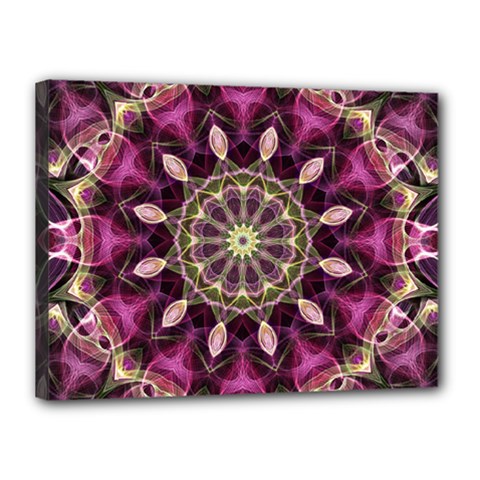 Purple Flower Canvas 16  x 12  (Framed) from ZippyPress