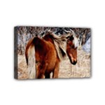Pretty Pony Mini Canvas 6  x 4  (Framed)
