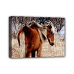 Pretty Pony Mini Canvas 7  x 5  (Framed)