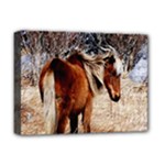 Pretty Pony Deluxe Canvas 16  x 12  (Framed) 