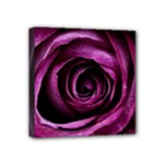 Deep Purple Rose Mini Canvas 4  x 4  (Framed)