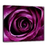 Deep Purple Rose Canvas 24  x 20  (Framed)