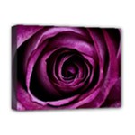 Deep Purple Rose Deluxe Canvas 16  x 12  (Framed) 