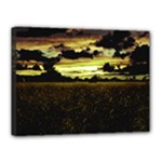 Dark Meadow Landscape  Canvas 16  x 12  (Framed)