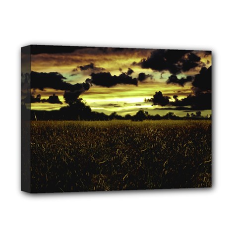 Dark Meadow Landscape  Deluxe Canvas 16  x 12  (Framed)  from ZippyPress