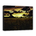 Dark Meadow Landscape  Deluxe Canvas 20  x 16  (Framed)
