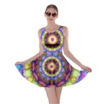 Rainbow Glass Skater Dress