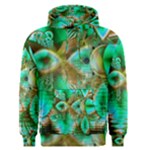 Spring Leaves, Abstract Crystal Flower Garden Men s Pullover Hoodie