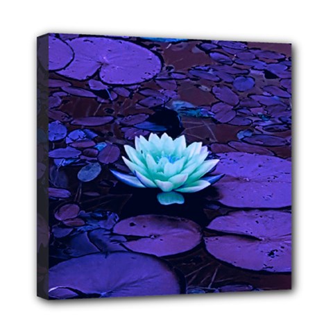 Lotus Flower Magical Colors Purple Blue Turquoise Mini Canvas 8  x 8  from ZippyPress