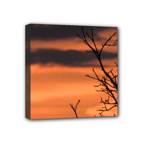Tree branches and sunset Mini Canvas 4  x 4  from ZippyPress