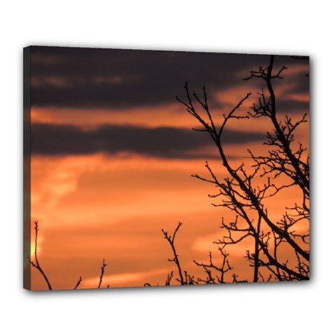 Tree branches and sunset Canvas 20  x 16  from ZippyPress