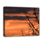 Tree branches and sunset Deluxe Canvas 20  x 16  