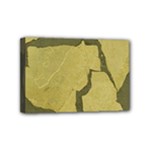 Stylish Gold Stone Mini Canvas 6  x 4 