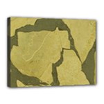 Stylish Gold Stone Canvas 16  x 12 