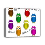 Cute owls - Who? Deluxe Canvas 14  x 11 