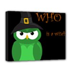 Who is a witch? - green Deluxe Canvas 20  x 16  