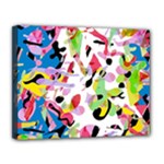 Colorful pother Canvas 14  x 11 