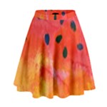 Abstract Watermelon High Waist Skirt