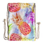 Colorful Pineapples Over A Blue Background Drawstring Bag (Large)