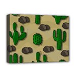 Cactuses Deluxe Canvas 16  x 12  