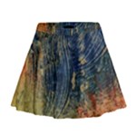 3 colors paint                      Mini Flare Skirt