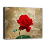 Red Rose Art Canvas 14  x 11  (Stretched)
