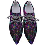 Neon brushes                   Women s Pointed Oxford Shoes