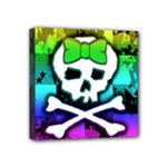 Rainbow Skull Mini Canvas 4  x 4  (Stretched)