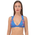 Shapes chains on a blue background                                           Double Strap Halter Bikini Top
