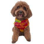 Colorful watercolors texture                                               Dog Sweater