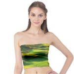 Countryside Landscape Nature Tube Top