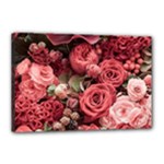 Pink Roses Flowers Love Nature Canvas 18  x 12  (Stretched)