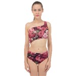 Pink Roses Flowers Love Nature Spliced Up Two Piece Swimsuit