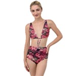 Pink Roses Flowers Love Nature Tied Up Two Piece Swimsuit