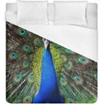 Peacock Bird Feathers Pheasant Nature Animal Texture Pattern Duvet Cover (King Size)