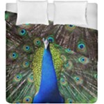 Peacock Bird Feathers Pheasant Nature Animal Texture Pattern Duvet Cover Double Side (King Size)